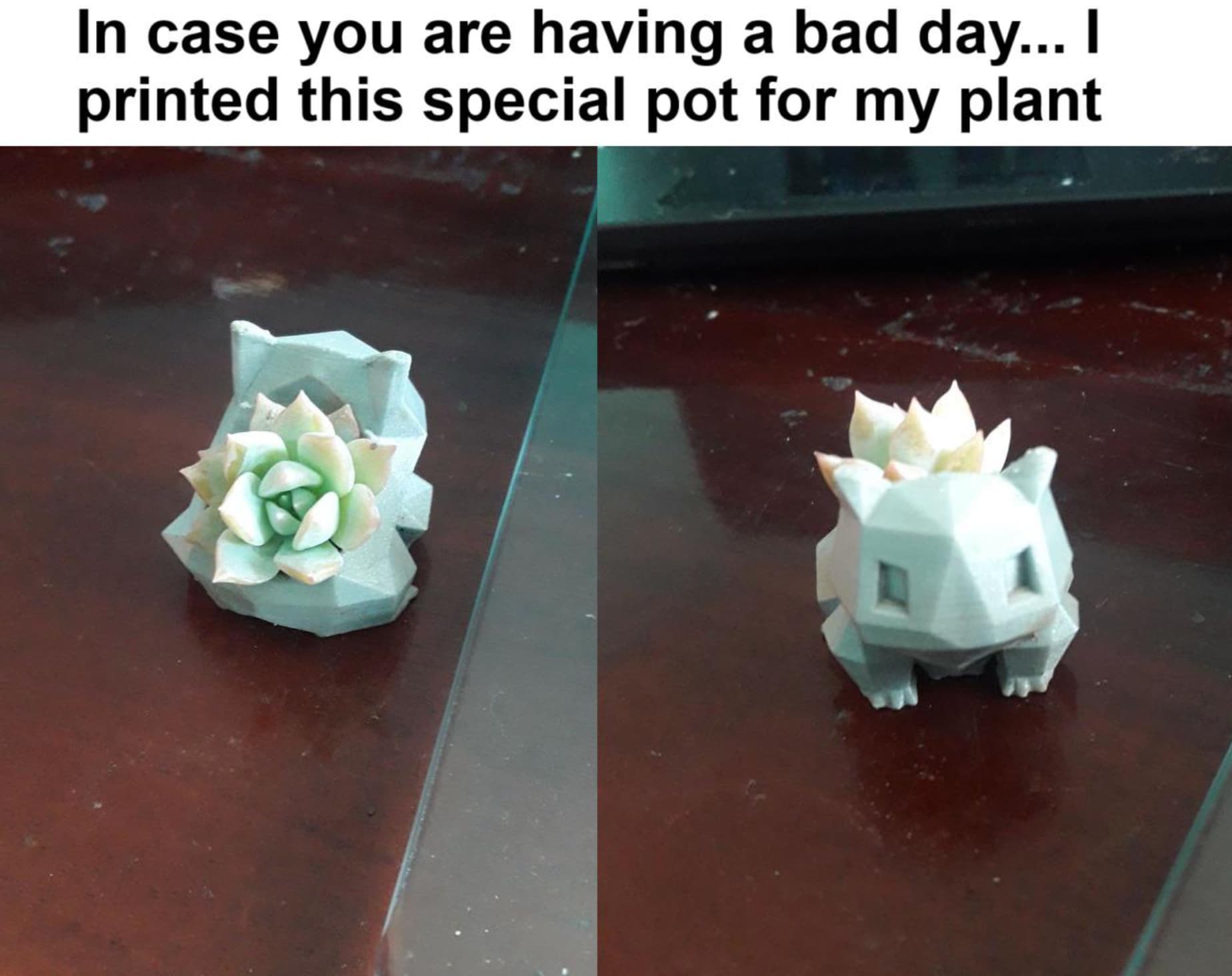 echeveria - In case you are having a bad day... I printed this special pot for my plant